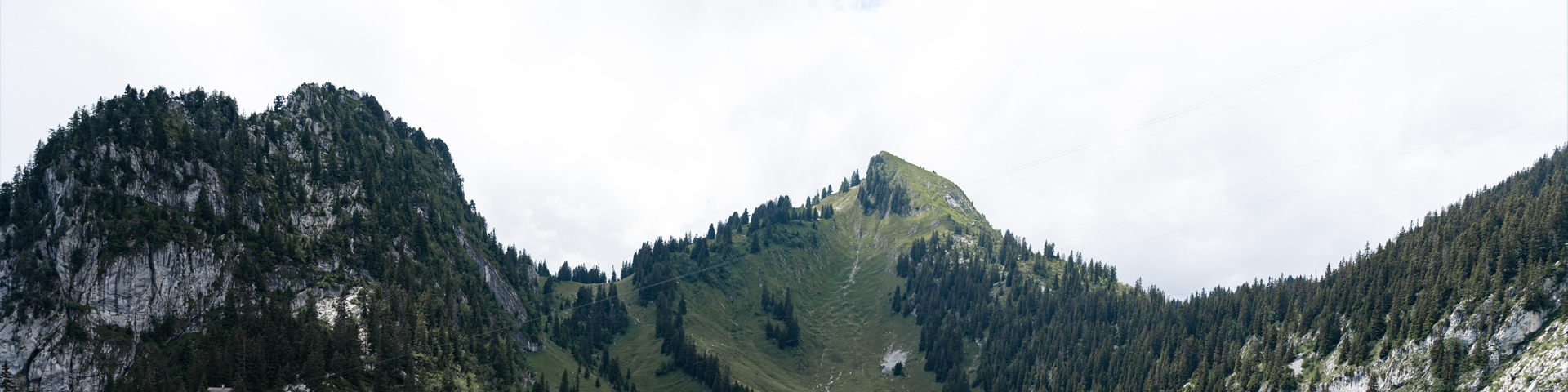 湖南顺游旅行社有限公司