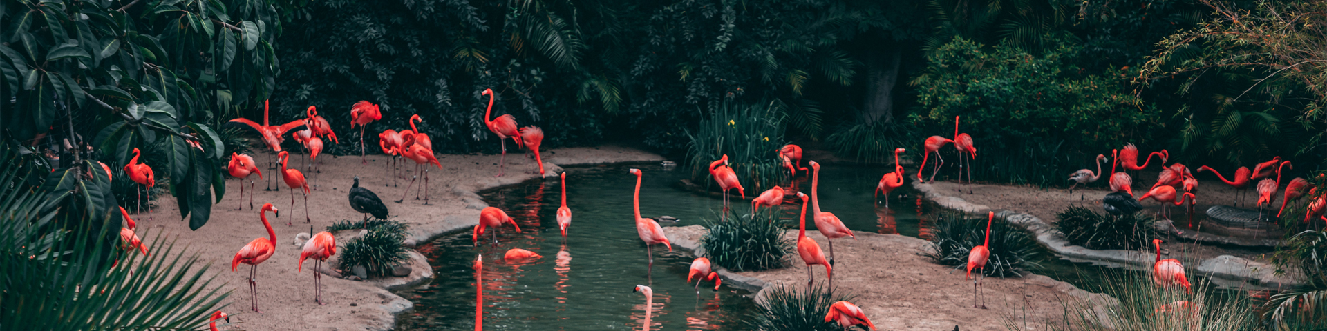 湖南顺游旅行社有限公司